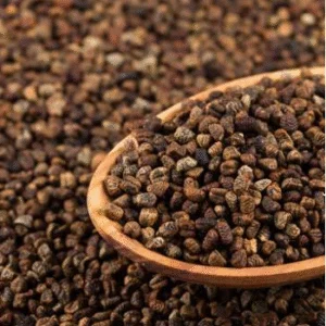 Cardamom Seed - इलायची के बीज
