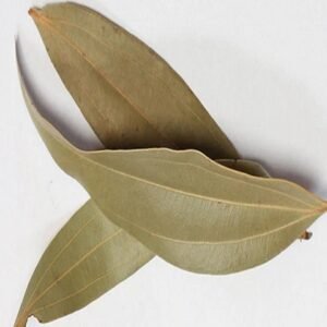 Bay Leaf / Tej Patta - तेज़ पत्ता