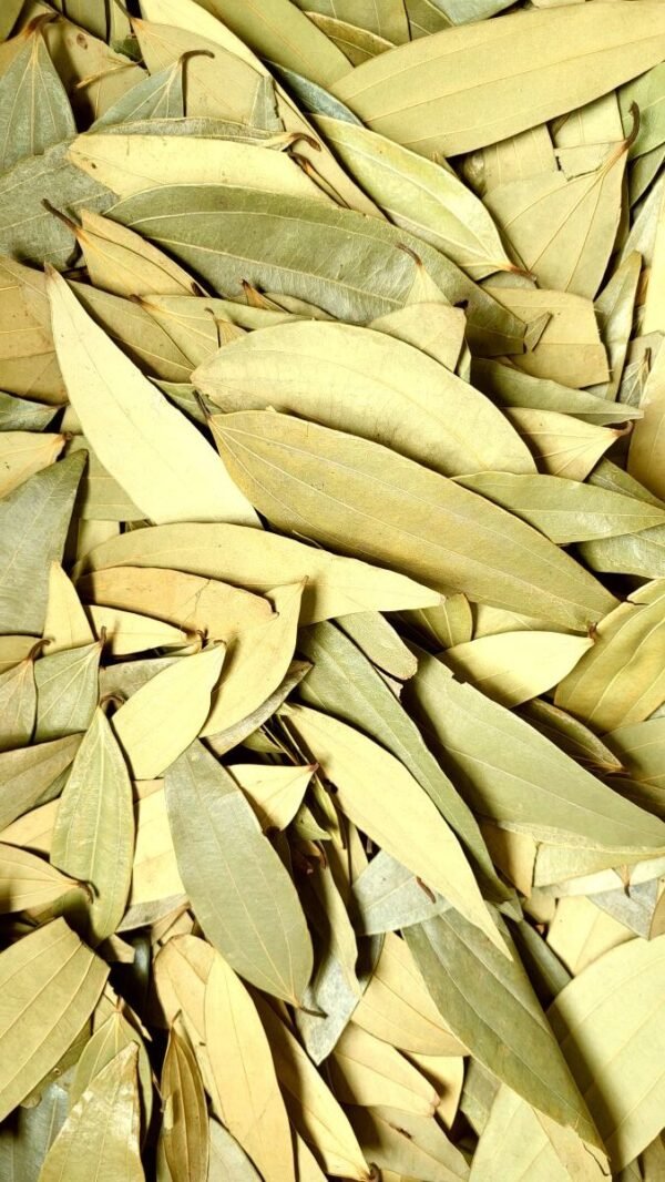 Bay Leaf / Tej Patta - तेज़ पत्ता - Image 2