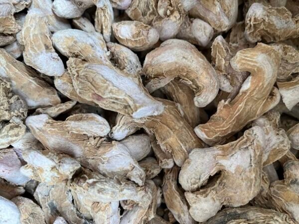 Dry Ginger - सोंठ - Image 6