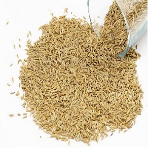 Cumin Seed - जीरा