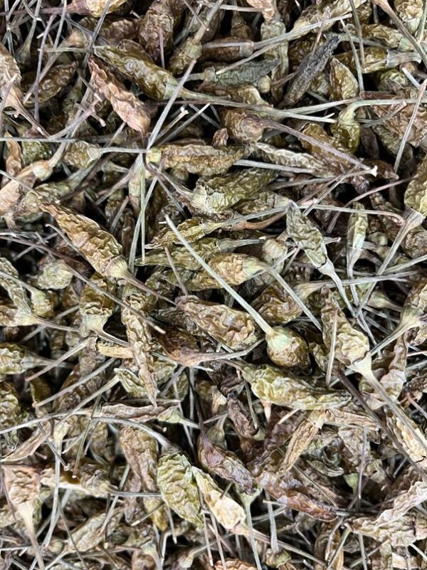 Birds Eye Chilli - उल्टी मिर्च - Image 7