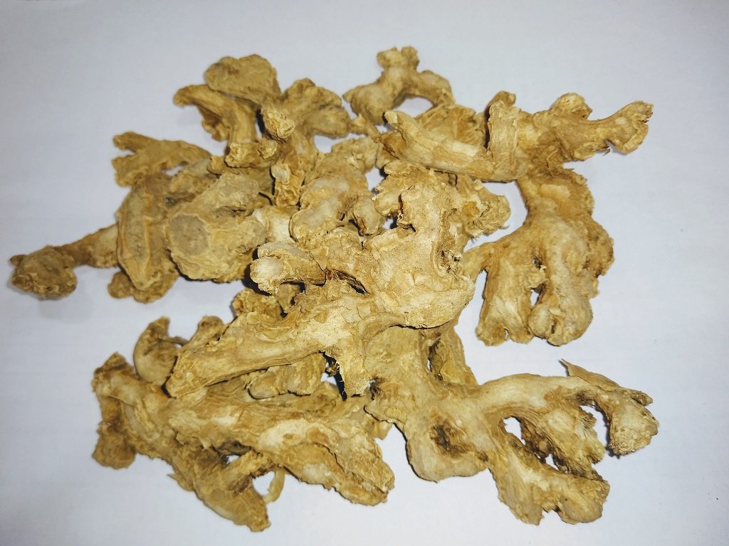 Ginger