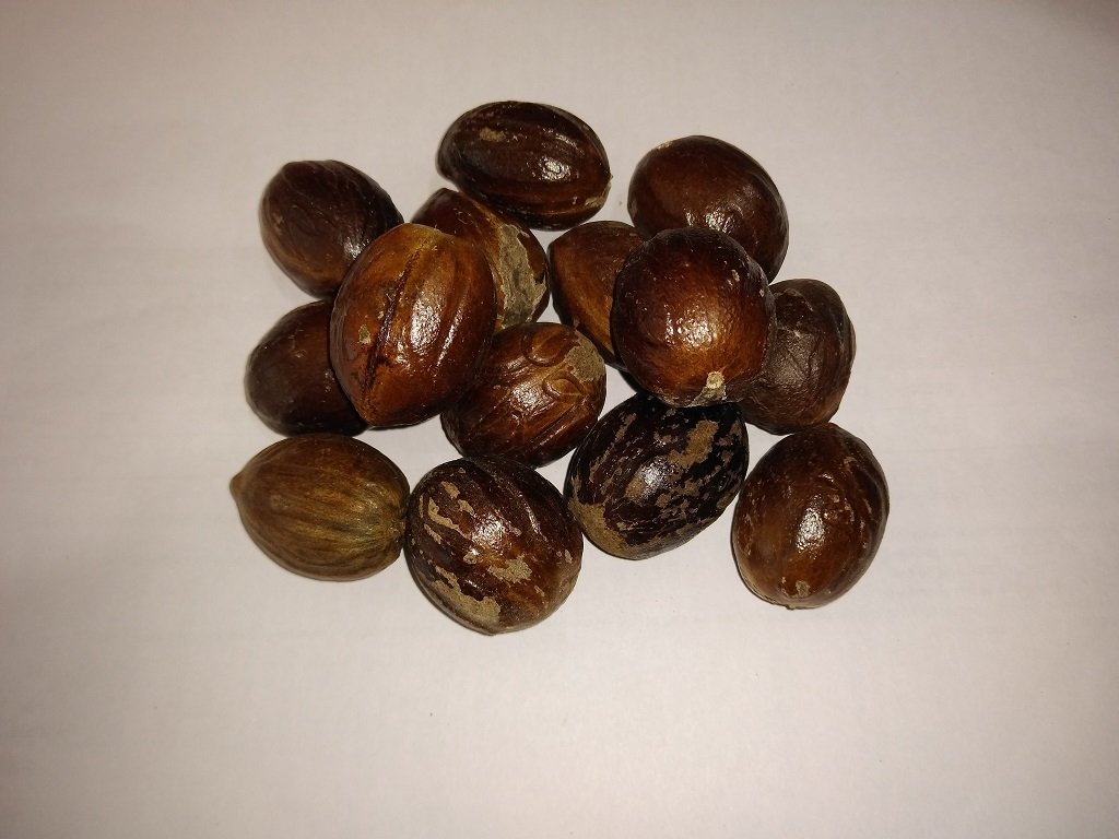 Nutmeg