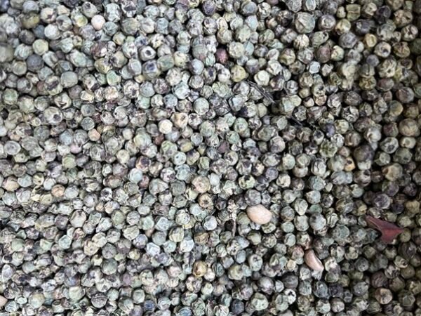 Black Pepper Bold - काली मिर्च - Image 7