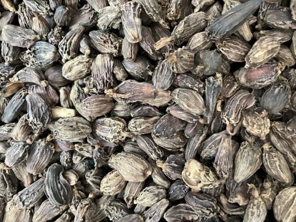 Cardamom - Black - काली इलायची - Image 2