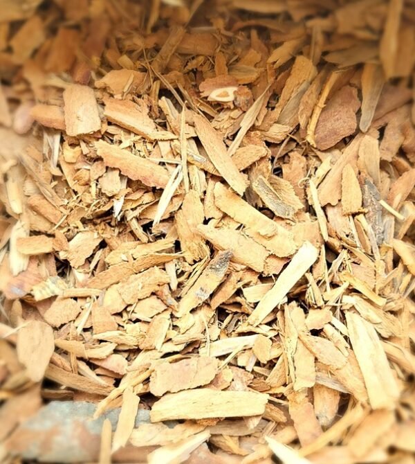Cinnamon Stick - दालचीनी की छड़ी - Image 5