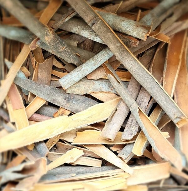Cinnamon Stick - दालचीनी की छड़ी - Image 3