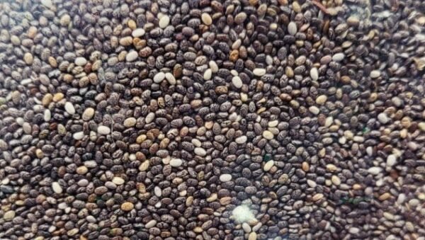 Chia Seed - चिया के बीज - सब्ज़ा के बीज - Image 2