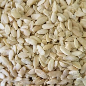 Cucumber Seed - ककड़ी के बीज
