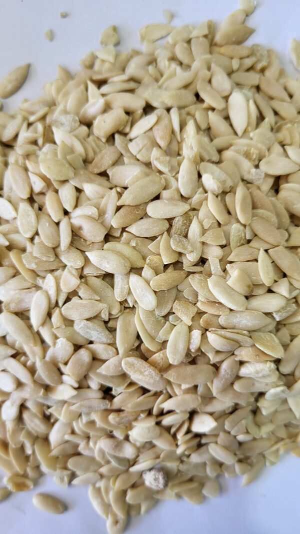 Cucumber Seed - ककड़ी के बीज