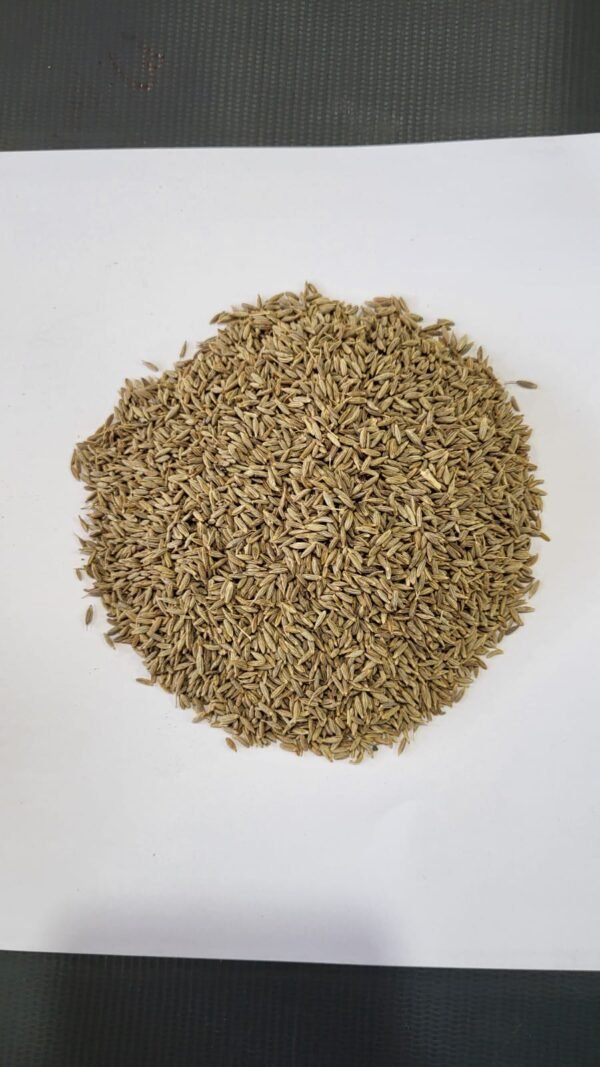 Cumin - Shah Jeera - शाही जीरे