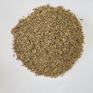 Cumin - Shah Jeera - शाही जीरे
