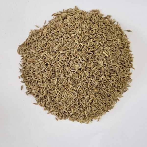 Cumin - Shah Jeera - शाही जीरे