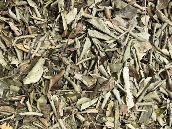 Curry Leaf Dried - करी पत्ता - Image 2