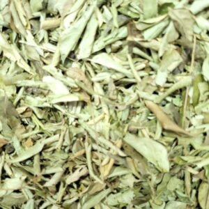 Curry Leaf Dried - करी पत्ता
