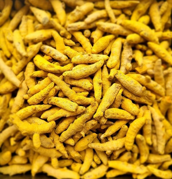 Turmeric Dried (Salem) - सूखी हल्दी