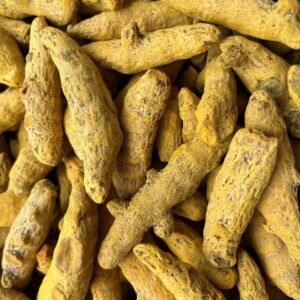 Turmeric Dried - सूखी हल्दी